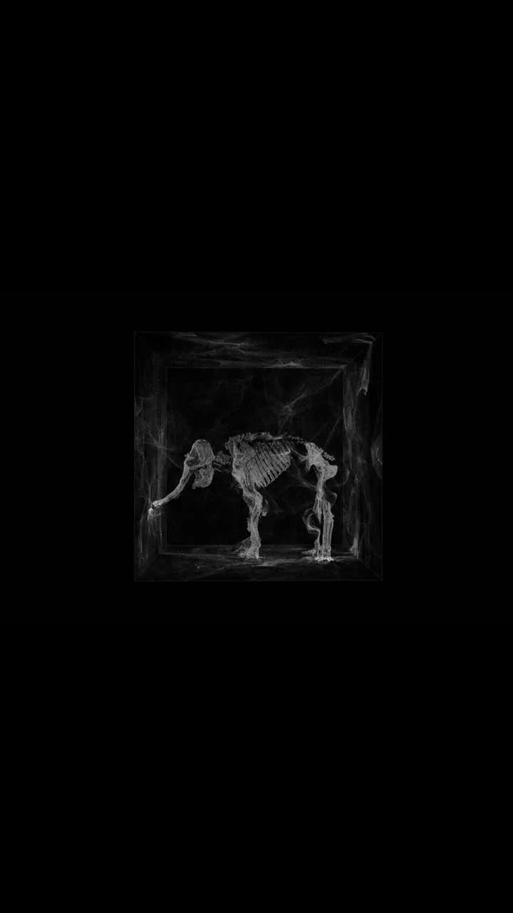 Still from a self-directed study, Elephant Attractor